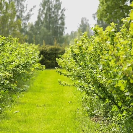Winery Glaemping Allikukivi